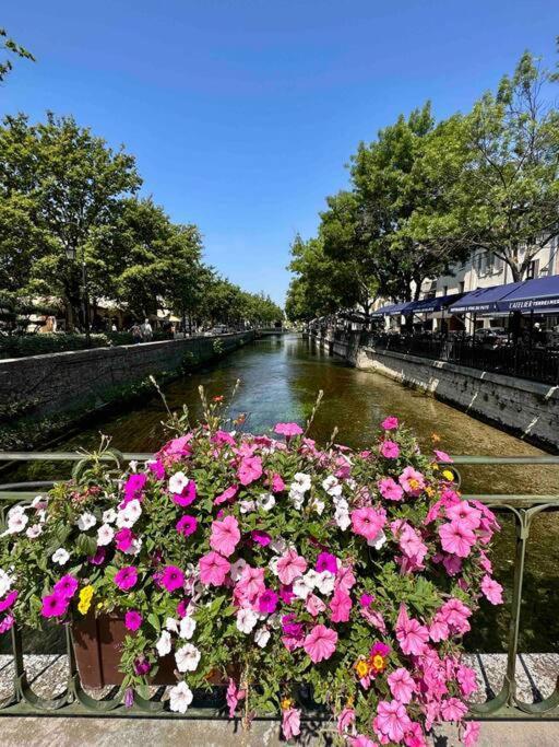 Lou Paseo : Appartement Brocante Centre Historique LʼIsle-sur-la-Sorgue Екстериор снимка